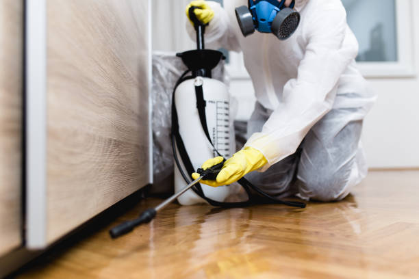 Best Pest Control Treatment  in Lockeford, CA