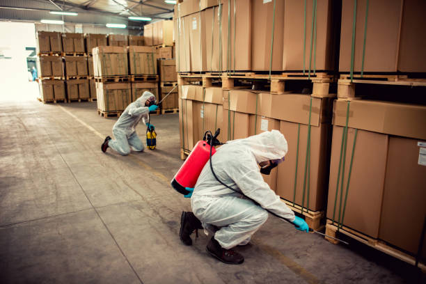 Best Bed Bug Extermination  in Lockeford, CA