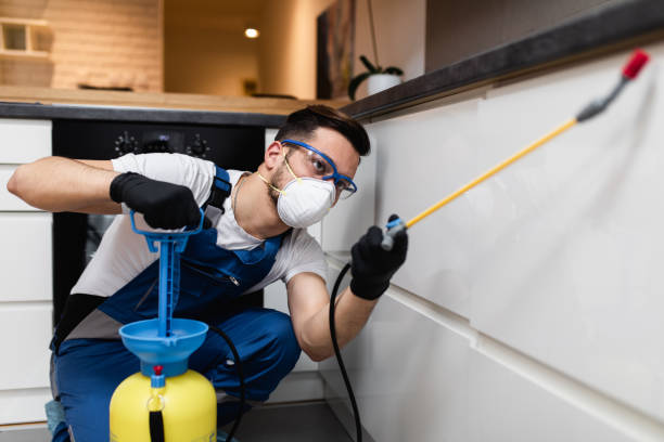 Best Best Pest Control Companies  in Lockeford, CA