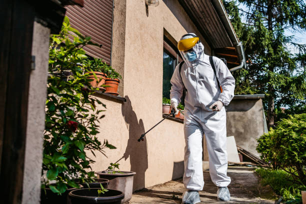 Best Ant Control Services  in Lockeford, CA