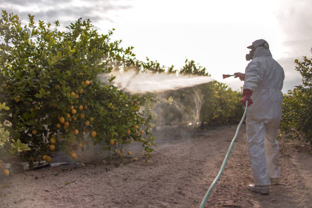Best Commercial Pest Control Services  in Lockeford, CA