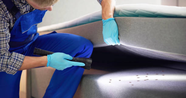Best Rat Extermination Near Me  in Lockeford, CA