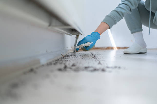 Professional Pest Control in Lockeford, CA