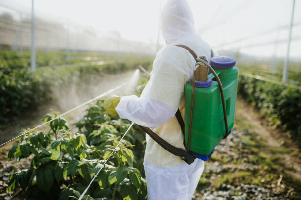 Best Flea Control Services  in Lockeford, CA